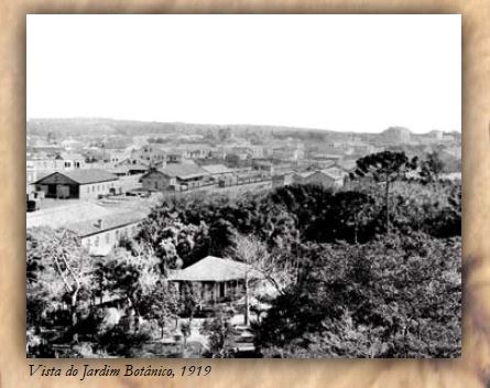 Vista do Jardim Botânico (atual Jardim da Luz, 1919. Imagem extraída de A CASA DO ADMINISTRADOR: PARQUE JARDIMDA LUZ. Prefeitura Municipal de São Paulo. Clique na imagem para acessar o artigo.